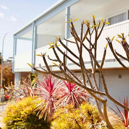 Mollymook Motel Exteriér fotografie