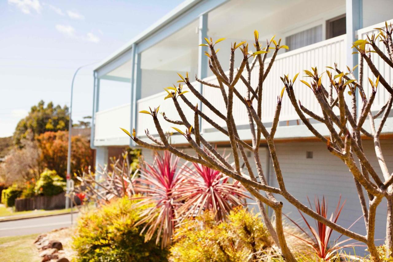Mollymook Motel Exteriér fotografie